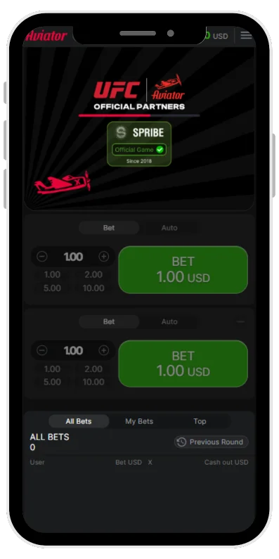 Bet options in Aviator
